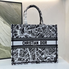 Christian Dior Shopping Bags